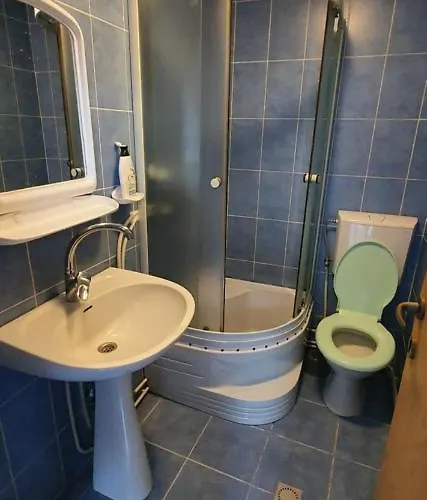 Farmec Vintage3 Apartament *